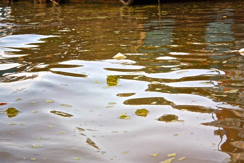 while the sky looks pretty, the water looks disgusting