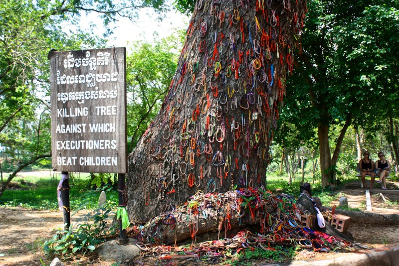 children were beat to death on this tree children were beat to death on this tree