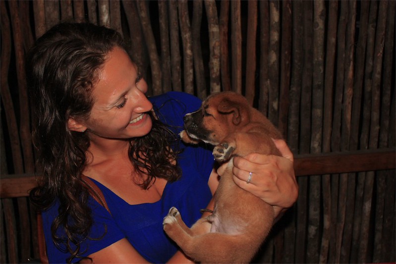 Lina found a new island friend Lina found a new island friend