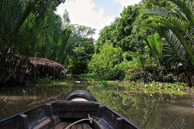 getting into smaller canals, more jungle