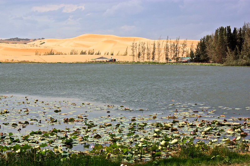 white sand dunes of Mui Ne white sand dunes of Mui Ne