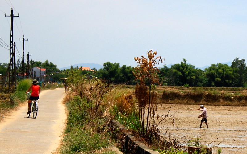 riding past farmers planing rice riding past farmers planing rice