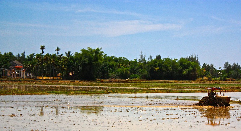 tractor preparing a rice field