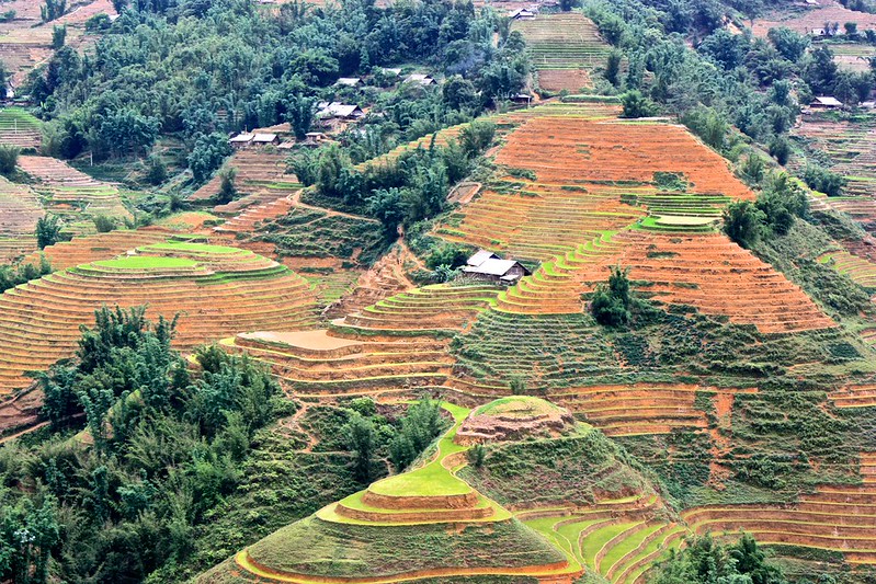 rice terraces just formed into the hills rice terraces just formed into the hills