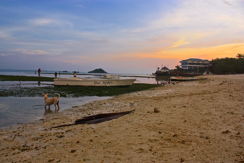 low tide action on Bounty beach in Malapascua low tide action on Bounty beach in Malapascua