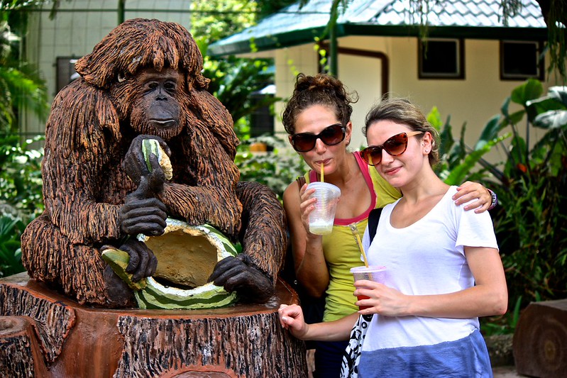 Rastafarian Orangutan doubling as a garbage can Rastafarian Orangutan doubling as a garbage can