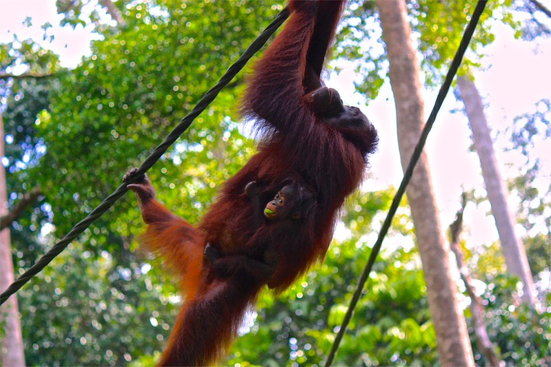 don't look down! don't look down!