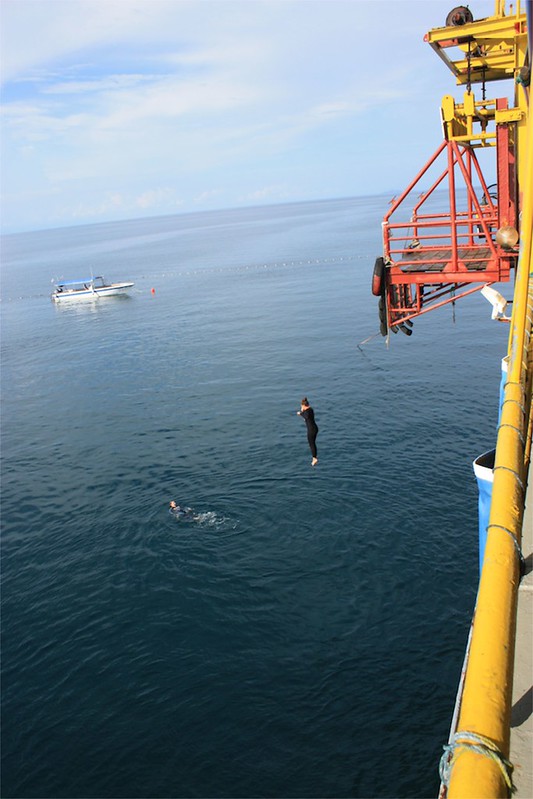 replaced with Lina replaced with Lina