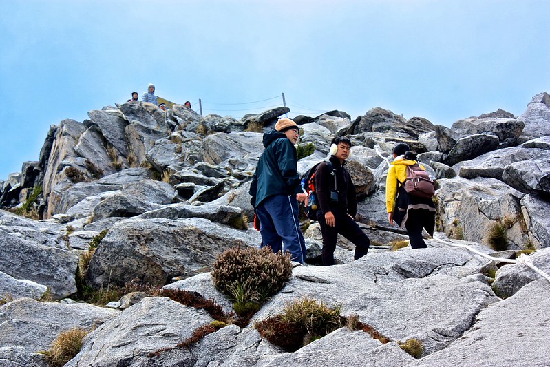 almost to the top! almost to the top!